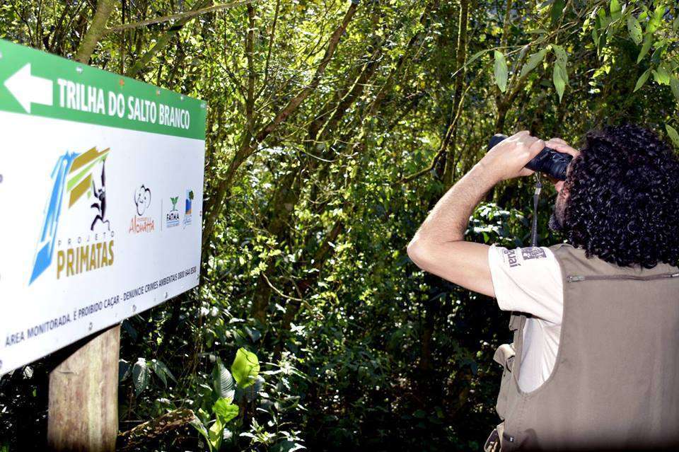 Observação de Vida silvestre Projeto Primatas Treviso