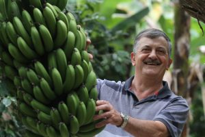 Lucas Colombo Siderópolis Aldo Zanin Agricultor de banana140