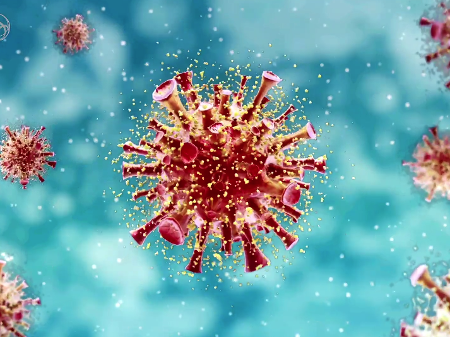 imagem do novo virus coronavirus covid 19