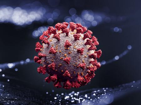 imagem ilustrativa do novo coronavirus sars cov 2